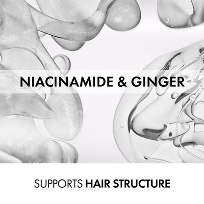 V4HE86B1C994E04DCD247479AAF890B725DR7387888P6